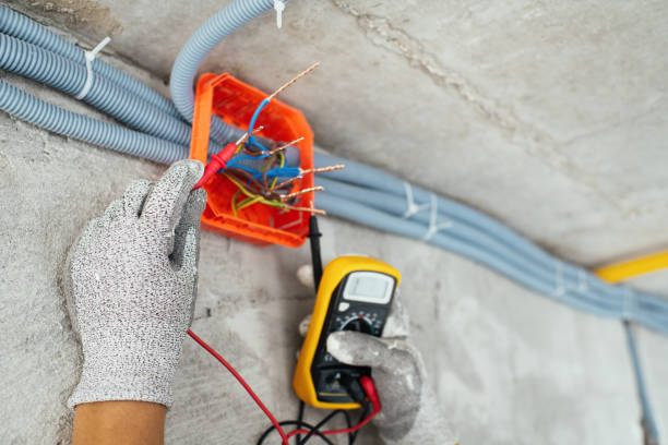 Best Licensed Electrician  in Roaring Spring, PA